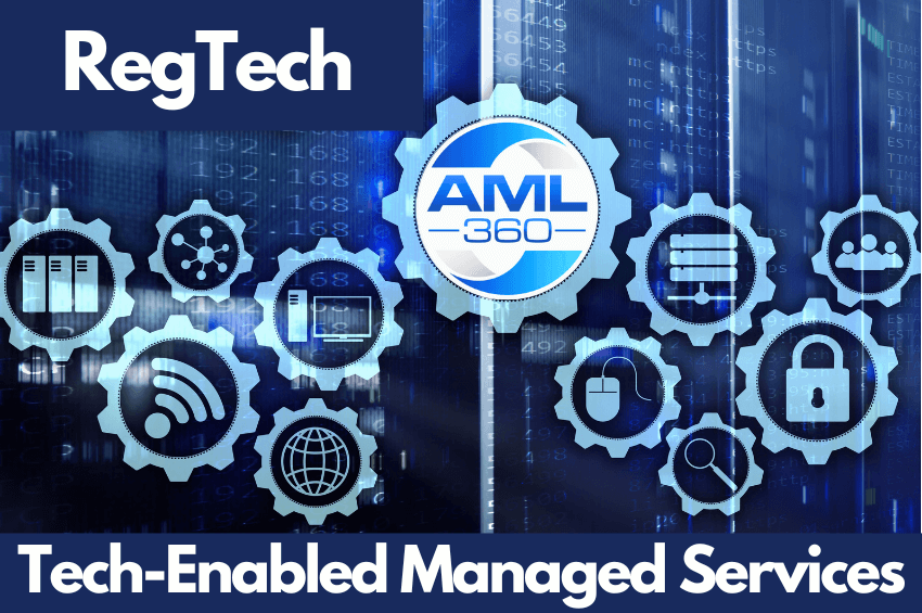 AML Software Services